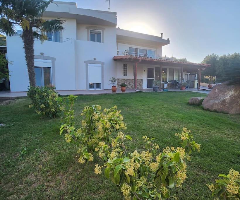 Villa Lux House With Garden Kámpos Exterior foto